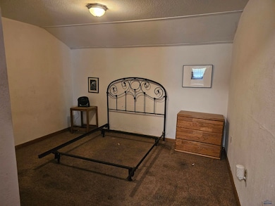 348 White St, Lead, SD 57754 - photo 7