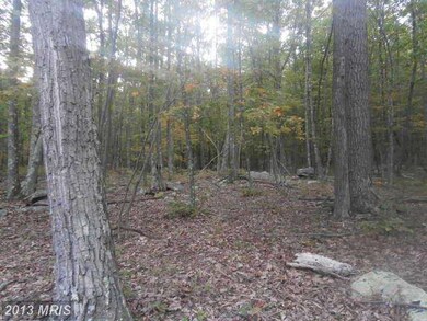 0 Roberts Ln unit 1003733060, Great Cacapon, WV 25422 - photo 3