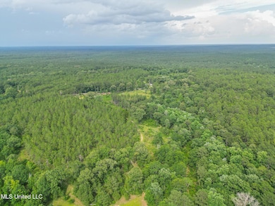 212 Tower Rd, Wiggins, MS 39577 - photo 2