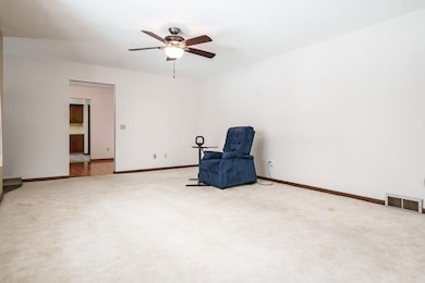 1126 Main St, Pecatonica, IL 61063 - photo 4