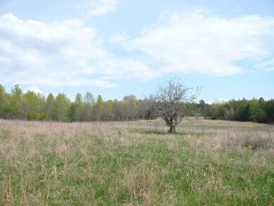 Open Fields  