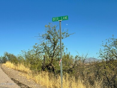 1191 Deer Ln unit 47, Rio Rico, AZ 85648 - photo 4