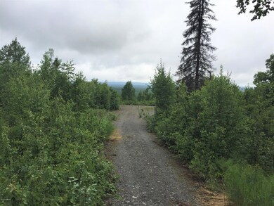 Denali Cabin 4