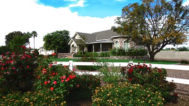 newmercer4