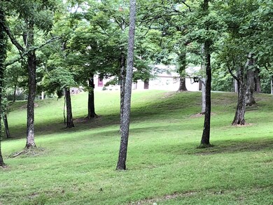 Front Yard 3
