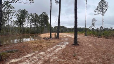 1284 Cheyenne Rd unit Lot 1, Conway, SC 29526 - photo 6