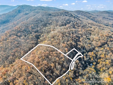 9999 Country Club Rd, Tryon, NC 28782 - photo 2