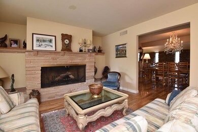 Fireplace in Living