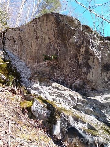 9999 Little Creek Rd, Burnsville, NC 28714 - photo 5