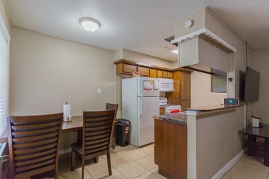 Open kitchen and living space.