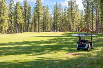 Out on the Fairway