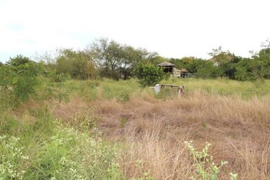 1010 Hawk St, Alamo, TX 78516 - photo 2