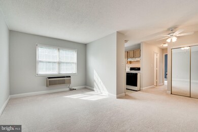 2239 Farrington Ave unit 303, Alexandria, VA 22303 - photo 4