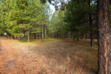TPark_2705_051322