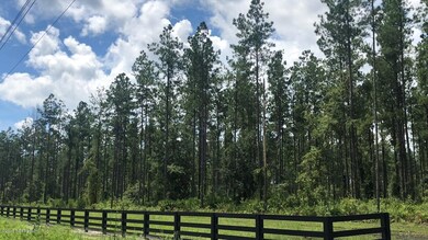 LOT 4 Griffin Rd - Heartwood Farms, Callahan, FL 32011 - photo 5