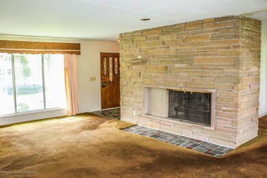 Living Room and Fireplace