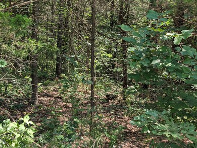 PXL_20250610_180346637