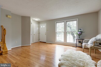 7954 Brightmeadow Ct, Ellicott City, MD 21043 - photo 7