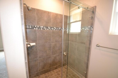 Master shower