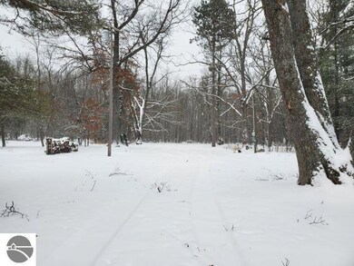 0 Clear Lake Rd unit 1930102, West Branch, MI 48661 - photo 3