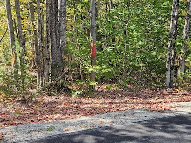 059-007 Soper's Mill Rd, Auburn, ME 04210 - photo 7