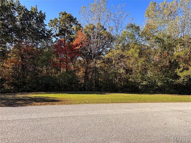 1 Manderly Place Dr, O Fallon, MO 63366 - photo 2