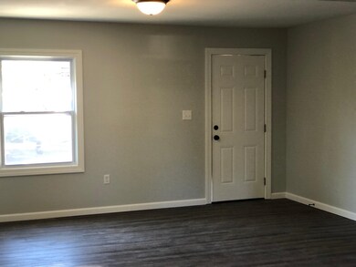 Spare room with dark wood-type flooring and a heal