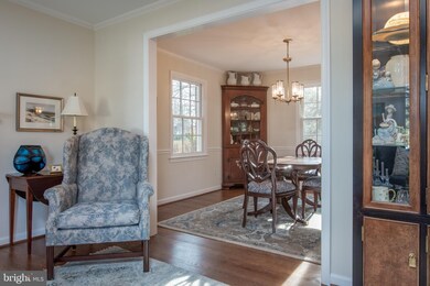 1101 Emerald Dr, Alexandria, VA 22308 - photo 7