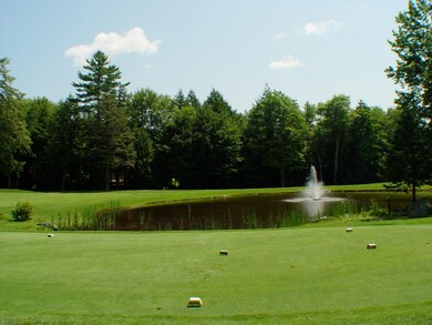 14 Oak Ln, Grantham, NH 03753 - photo 7