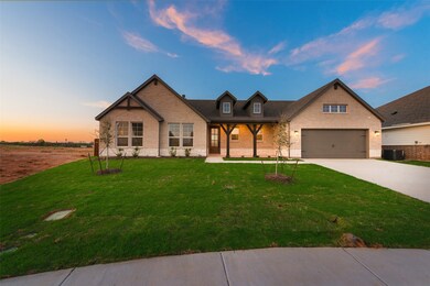 1229 Comal Ln, Springtown, TX 76082 - photo 4