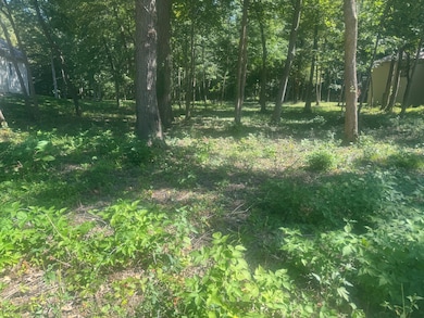 1108 Oakview Ln, Genoa, IL 60135 - photo 3