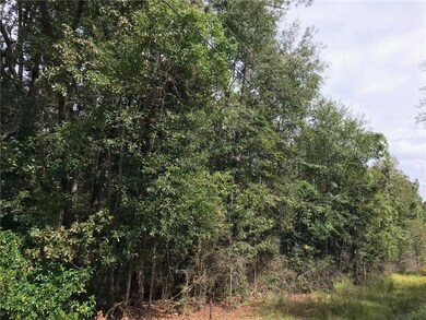 View of land looking toward Million $ Rd