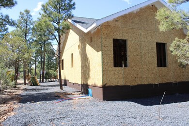 721 Campbell Ln, Show Low, AZ 85901 - photo 2