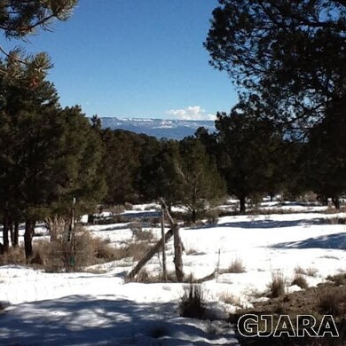 View facing EAST towards adjoining 35 acre parcel-