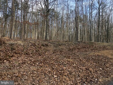 0 Little Cacapon Mountain, Gore, WV 26704 - photo 6