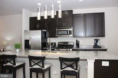 13238 Shawnee Ln unit 106, Clarksburg, MD 20871 - photo 6