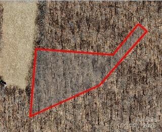 27 Poplar Forest Dr, Boone, NC 28607 - photo 5