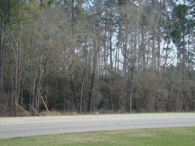 0 Honea Egypt Rd unit 31347702, Magnolia, TX 77354 - photo 6