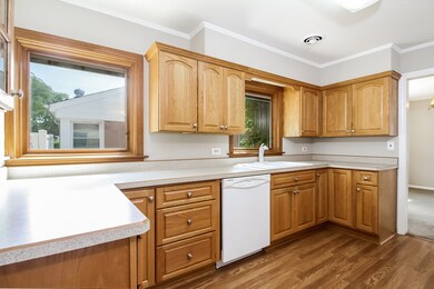 1249 Earl Ave, Des Plaines, IL 60018 - photo 7