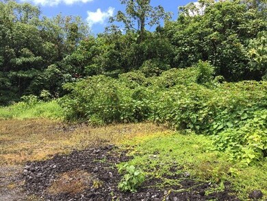 37 E Ohea St, Hilo, HI 96720 - photo 2