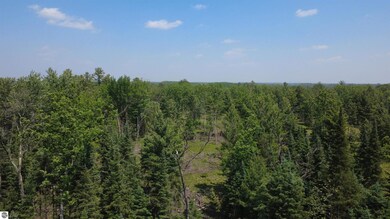 Off of Gallagher Rd, West Branch, MI 48661 - photo 5