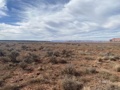 Native sage and grasses