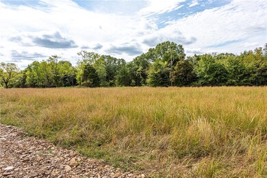 0 Mount T Bo Ln unit 1199064, Elkins, AR 72727 - photo 5