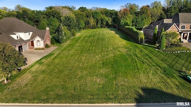 2247 W Augusta Dr, Dunlap, IL 61525 - photo 4