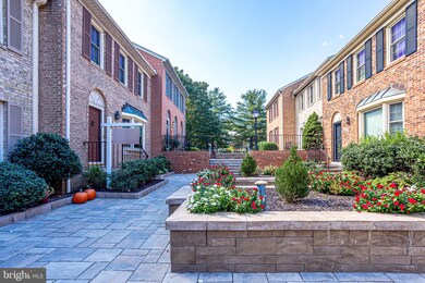 6048 Morgan Ct, Alexandria, VA 22312 - photo 5