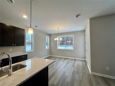 16058 162nd St N, Hugo, MN 55038 - photo 5