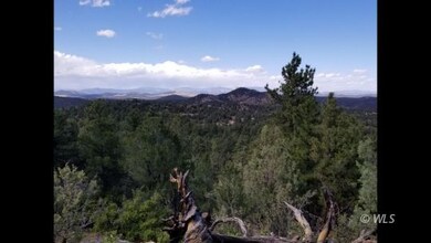 Lot 4 Mountain Views