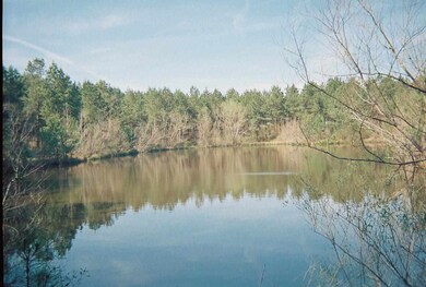 0 Andrew Chapel Rd unit 1273136, Brandon, MS 39042 - photo 4