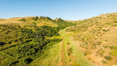 007_dji_20240705074856_0495_d_343