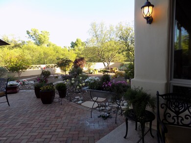 Backyard (2)